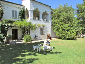 Azienda Agrituristica Madonna degli Angeli