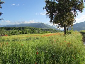 Azienda Agrituristica Madonna degli Angeli