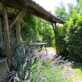 Azienda Agrituristica Madonna degli Angeli