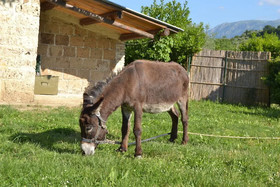 Azienda Agrituristica Madonna degli Angeli