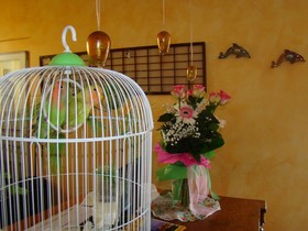 Il Casale