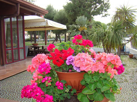 Il Casale