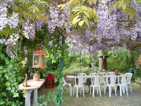 B&B Glicine