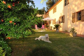 B&B Glicine