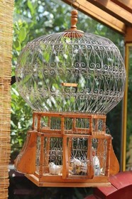 B&B Glicine