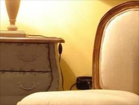 Gatto Bianco Casa Dei Venti