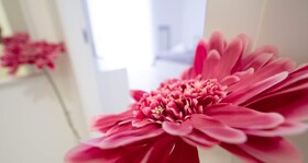 Casa Viviana Bari Policlinico