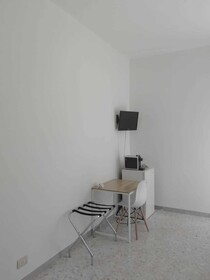 Gatto Bianco
