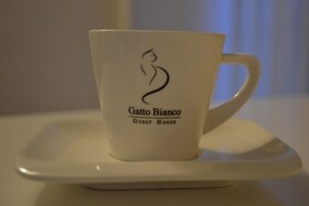 Gatto Bianco Le Dimore