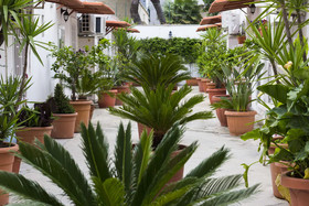 I Giardini Di Edicart