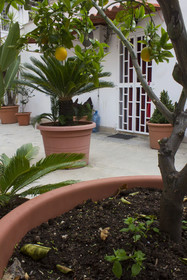 I Giardini Di Edicart