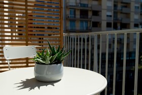 Il Pumo Apulian Rooms Bari Piazza Moro