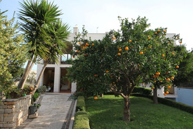 La Rosa Blu Bed & Breakfast