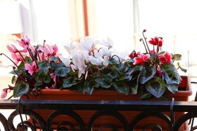 Bed Breakfast De Nittis