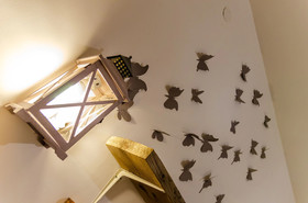 Domatia Bed and Breakfast