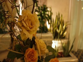 Hotel Villa