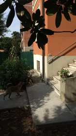 B&B La Villa