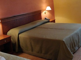 Il Magnifico di Guaceto