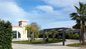 Il Magnifico di Guaceto