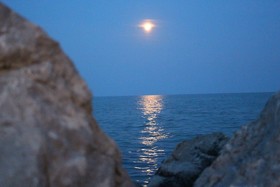 Gioia