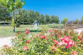 Villaggio Ai Pini Lido Altanea