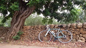 Casa Angela Rosa