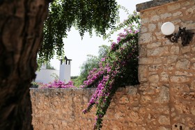Masseria Ferrorosso