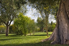 Relais Masseria Caselli