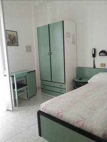 Hotel Ambra Cattolica