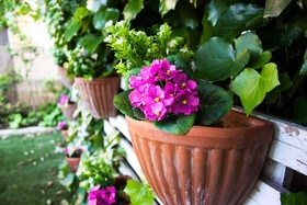 Hotel Loretta & Dépendance