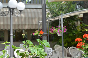 Hotel Monique