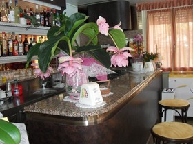 Hotel Zani
