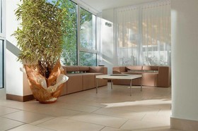 Color Mokambo Shore Design Hotel