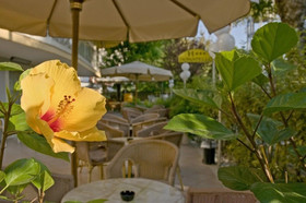 Hotel Donatello