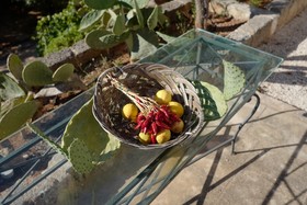 Masseria Lama Di Coccaro
