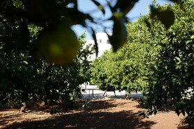 Masseria Lama Di Coccaro
