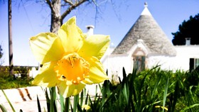 Masseria Pensato Suite Ulivo