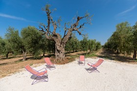 Masseria Pensato Suite Ulivo