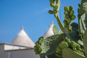 Trulli Della Gravina