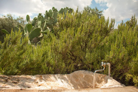 Trulli Della Gravina
