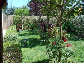 Villa Palmisani