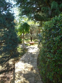 Villa Palmisani