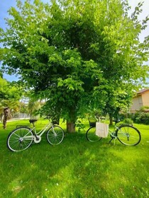 Marina Gardens Boutique&Suites