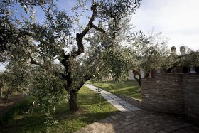Tenuta Querce Grosse
