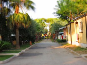 Don Antonio Glamping Village