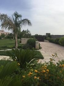 Green Space