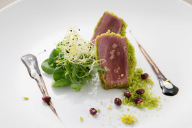 8Piuhotel