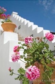 Tenuta La Badessa