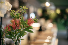 Aloisi Hotel