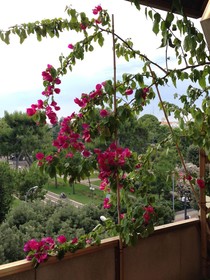 B&B Laralà